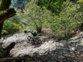 IMG-20190523-WA0003